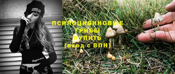 гидропоника Дмитриев