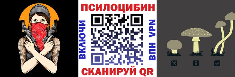 Галлюциногенные грибы Psilocybe  Купить закладки  Темников 